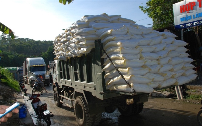 Gao Viet Nam o at qua bien gioi sang Trung Quoc hinh anh