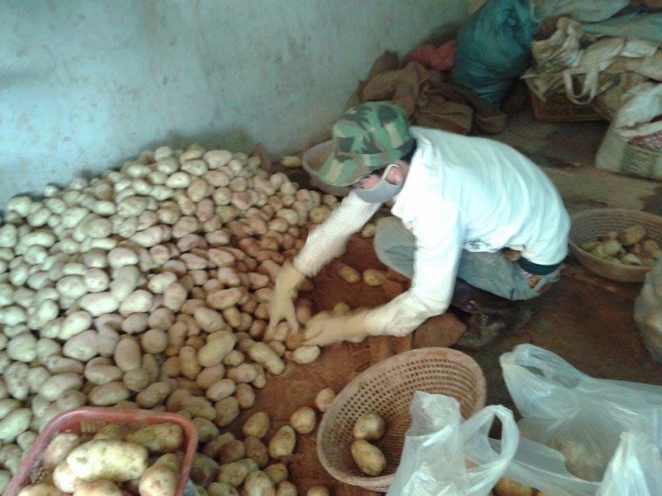 Tieu thuong ke chuyen bien khoai tay Trung Quoc thanh Da Lat hinh anh