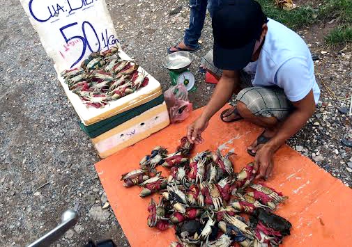 Cua bien nam ngua 50.000 dong/con tran via he Ha Noi hinh anh