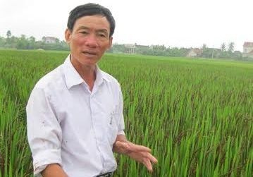 Lao nong xu Nghe mo dua tra gao thao duoc di khap the gioi hinh anh