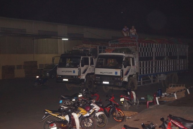 Các xe tải đang lấy cà phê trong kho của công ty Trường Ngân vào tối 28-11.