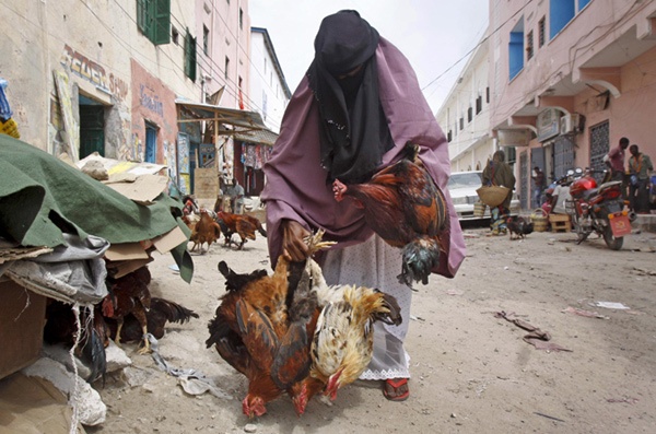 Thu thue: Nghe nguy hiem va bac beo nhat o Somali hinh anh