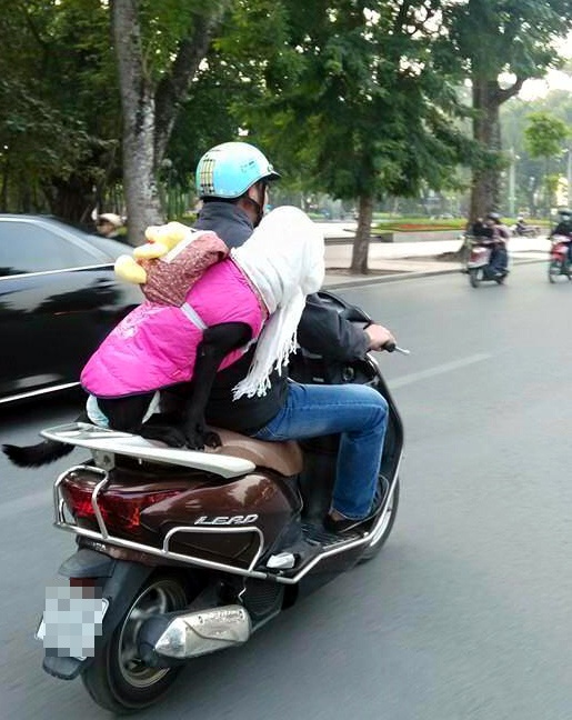 Thú cưng mặc áo phao, đeo kính, quàng khăn... sành điệu trên phố.