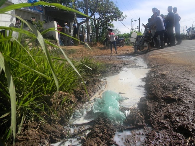 Lam Dong: Nong dan do hang nghin lit sua bo truoc nha may hinh anh