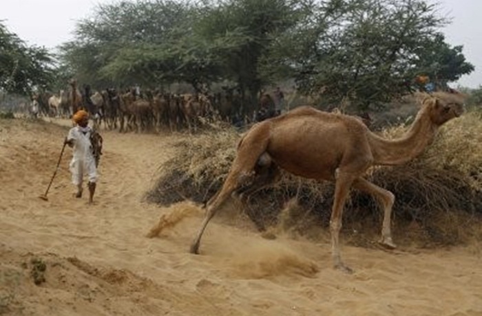   Khoảng 25% đất đai của Ấn Độ đang dần bị sa mạc hóa. Sử dụng quá mức mà không cải tạo và biến đổi khí hậu khiến đất đai của Ấn Độ bị sa mạc hóa trên diện rộng. 81 triệu ha đang bị sa mạc hóa, tương đương 3 lần diện tích nước Anh. Điều này làm dấy lên những lo ngại về an ninh lương thực. 