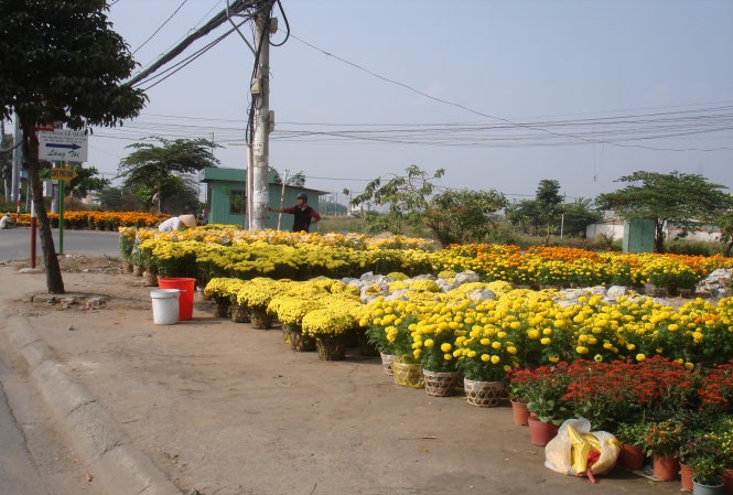 Sai Gon 29 Tet: Xo hay khong xo hang? hinh anh