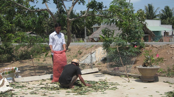 Thuong lai mua la mang cau xiem da ra di du con no hinh anh