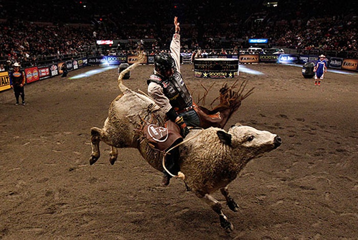 Tay đua bò có thể bị ít nhất một chấn thương nghiêm trọng trên mỗi 15 cuộc đua mà họ tham gia bao gồm cả chấn thương, gãy xương, và những tổn thương không thể thanh toán bằng tiền mặt.