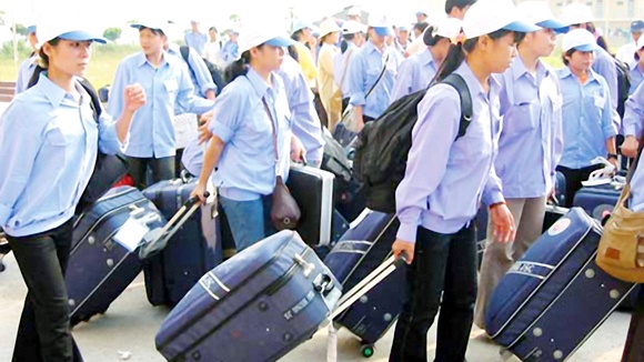 Nhan tai Viet 'chay mau' qua Singapore, Thai Lan hinh anh