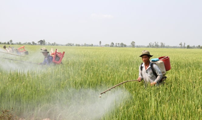 Nong dan thue hop tac xa lam ruong hinh anh