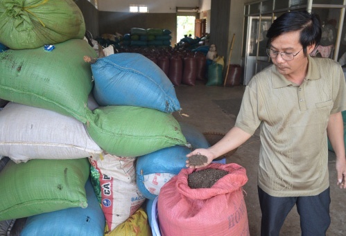 Gay roi thi truong ho tieu, thuong lai Trung Quoc lai lon hinh anh