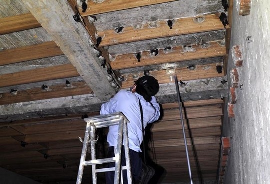 Nhung ngoi nha yen tien ty o Quang Ngai hinh anh