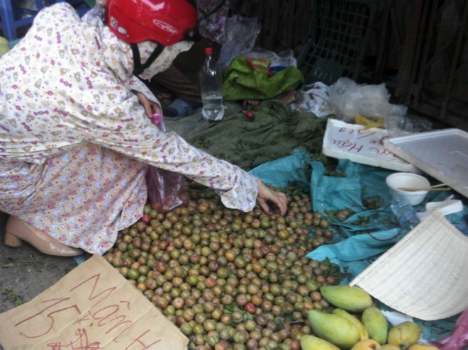 Hoa qua gia re do dong tren via he hinh anh