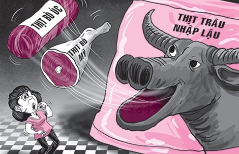 Thit trau An Do di dau? hinh anh