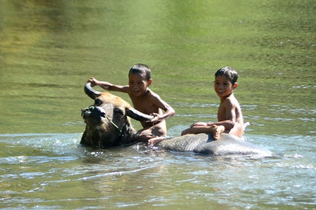 GDP binh quan dau nguoi o nong thon VN chi hon Campuchia hinh anh