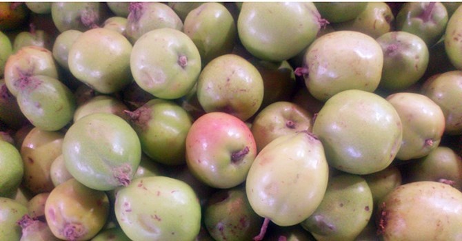 Tao Trung Quoc doi lot tao meo Ha Giang o Ha Noi hinh anh