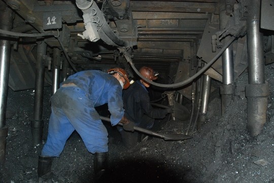 Se dua khoan lo do ty gia vao gia dien? hinh anh