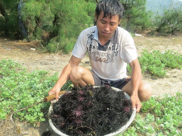 Anh Định và số nhum bắt được sau cả buổi ngụp lặn trong làn nước lạnh.  