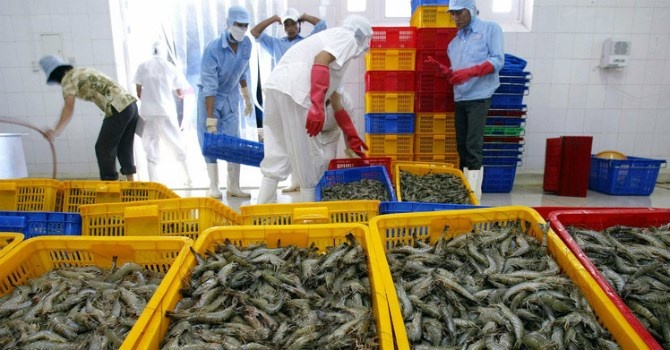 Ai duoc, ai mat tu TPP? hinh anh