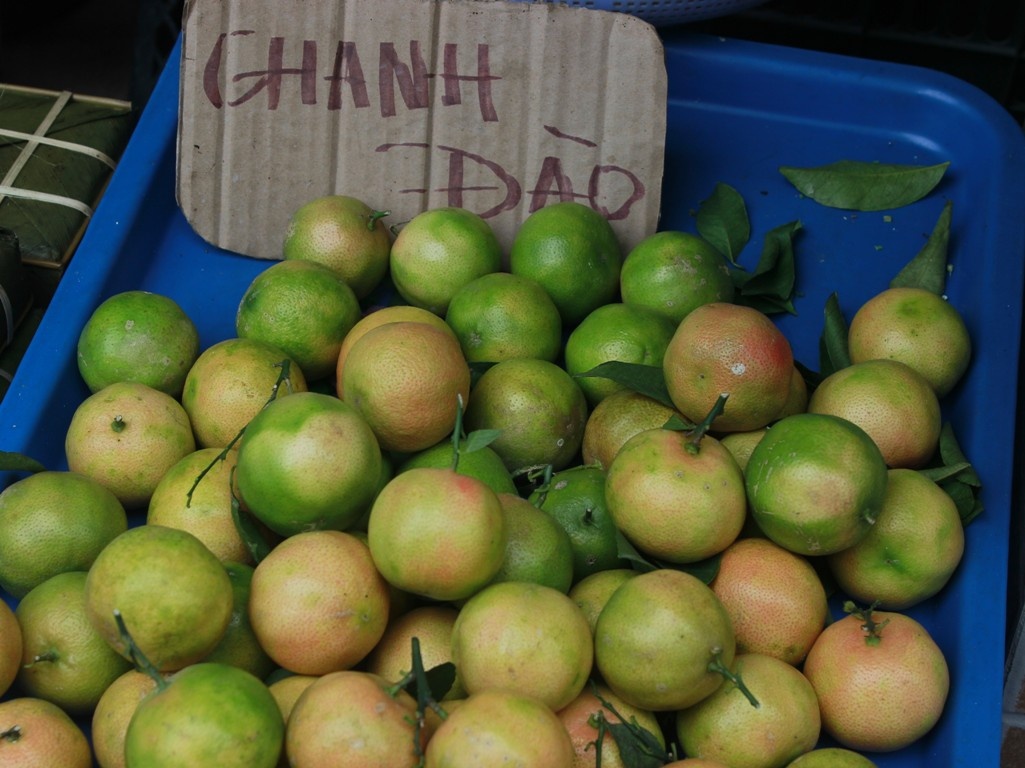 Chanh dao Ha Noi loan gia o Sai Gon hinh anh