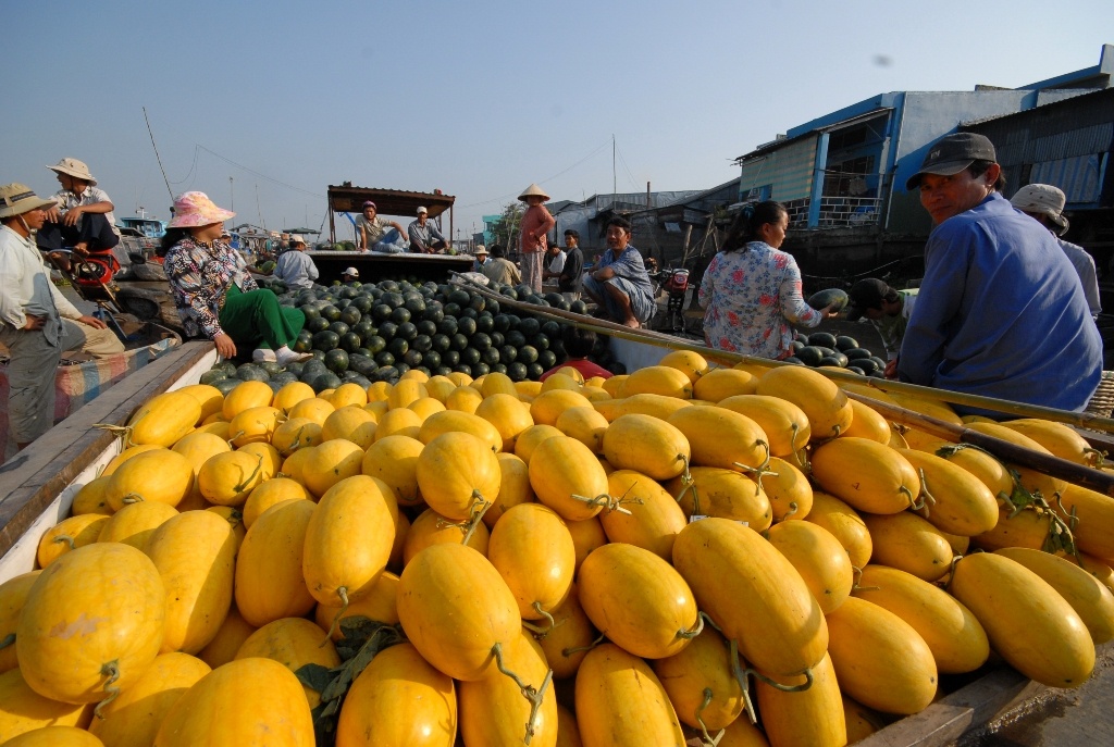 Nong nghiep Viet Nam: 'Cua ngon mang ra nuoc ngoai ban het' hinh anh