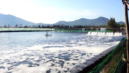 Tom chan trang 'vay' danh thang Lang Co hinh anh