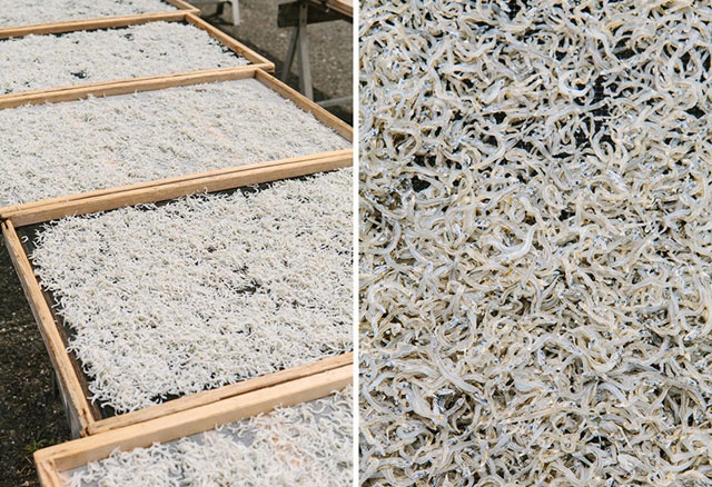 Ca com bao tu Nhat xach tay gia 1 trieu mot kg hinh anh