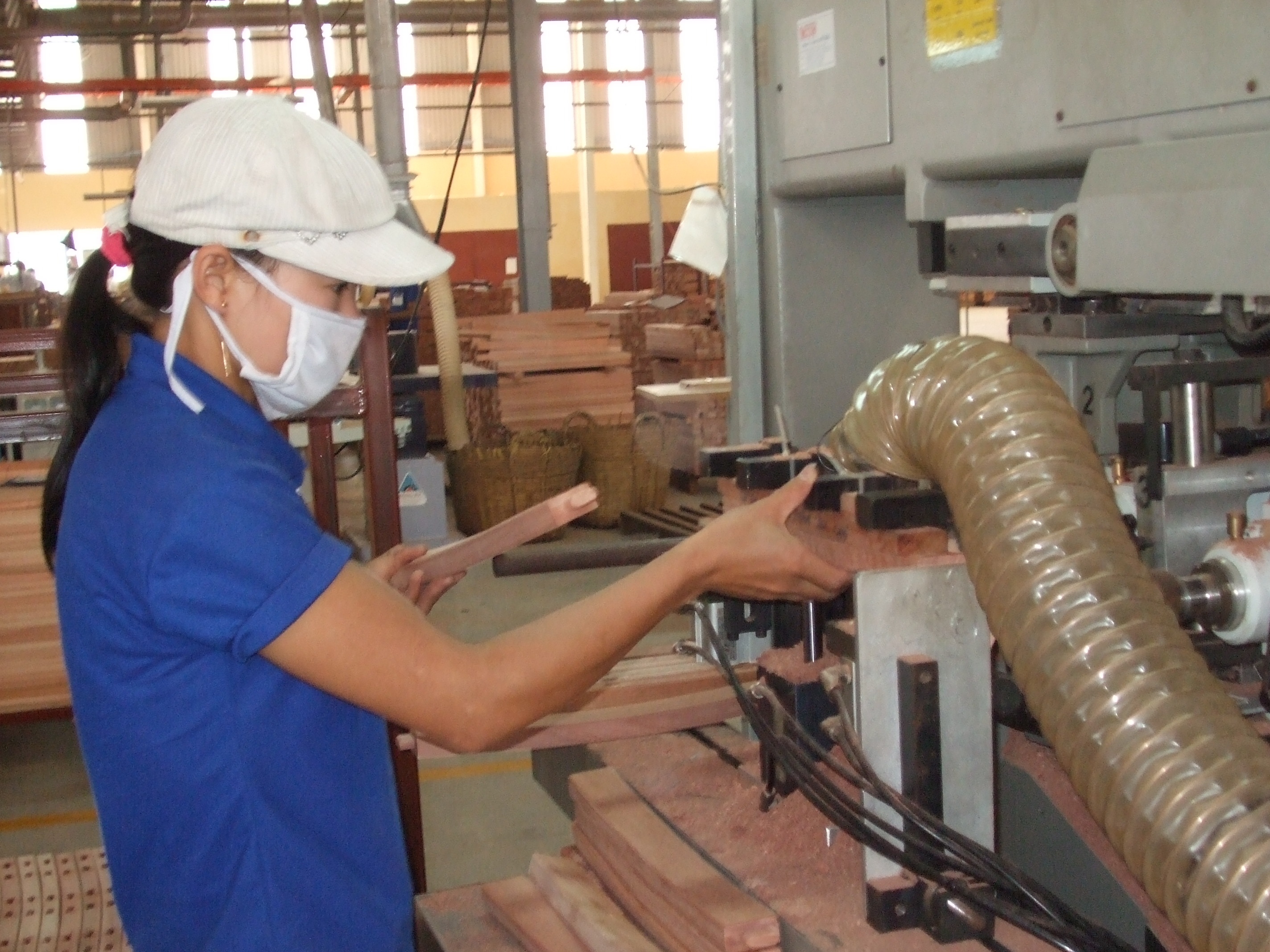 Doanh nghiep Viet dang lam gi voi TPP? hinh anh