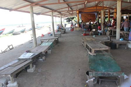 Cho vang bong tieu thuong sau vu 25 tan ca nuc nhiem phenol hinh anh