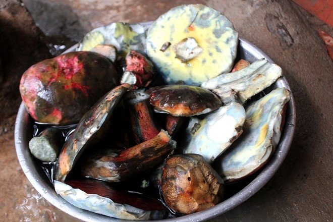 Nam gan bo Da Lat 800.000 dong mot kg, dan Ha Noi tranh mua hinh anh