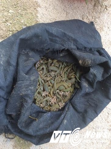 Thuong lai Trung Quoc len loi vung giap bien du dan ban dia hinh anh