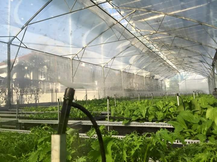 Trai rau sach 5 ty o Sai Gon anh 3