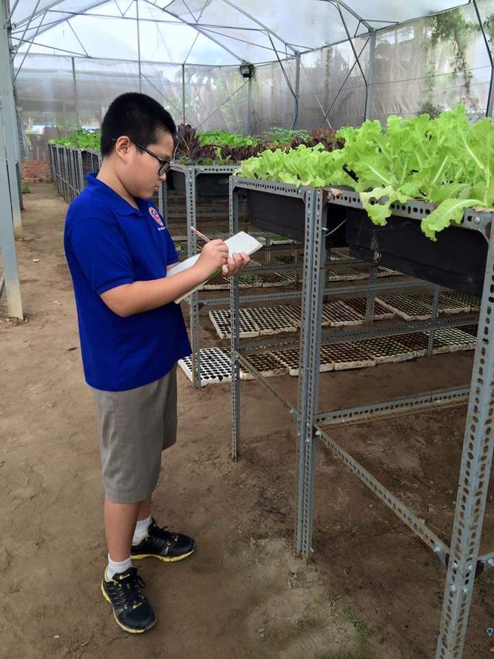 Trai rau sach 5 ty o Sai Gon anh 2