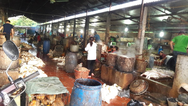 La lung chuyen cai nhau o cho bi phat 2 trieu dong hinh anh