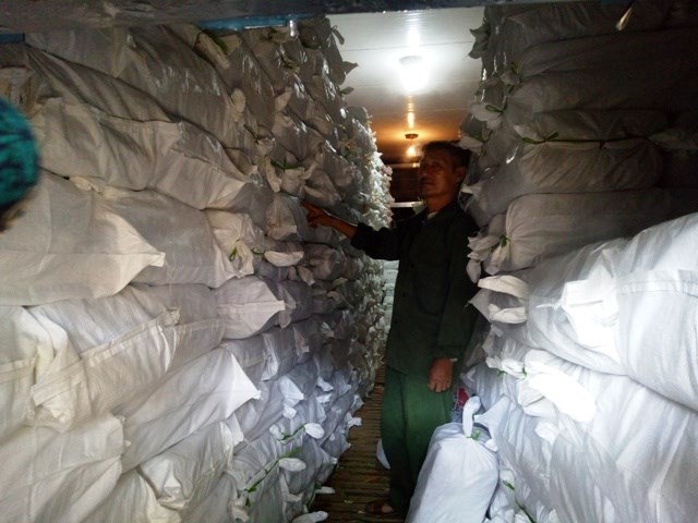 Ha Tinh: Ca bien tuoi ban noi khac, bac ty chon kho lanh hinh anh