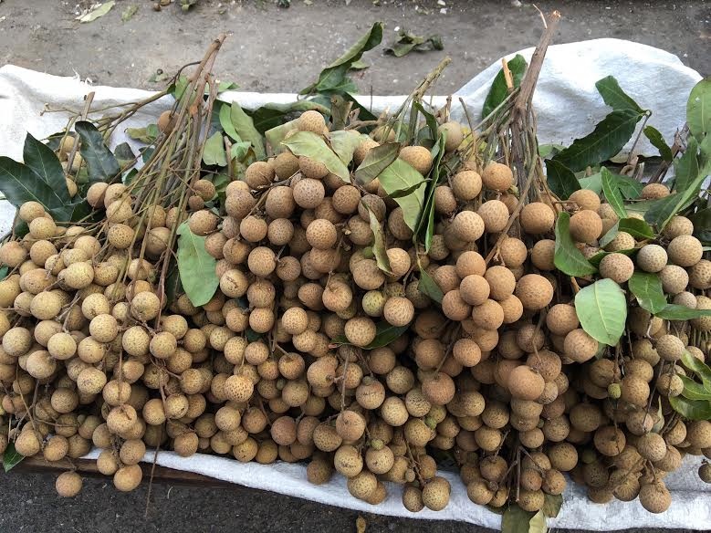 Dan sanh an Ha Noi san mua nhan que gia re hinh anh