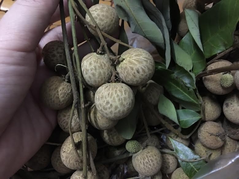 nguoi Ha Noi tranh nhau mua nhan que gia re anh 1