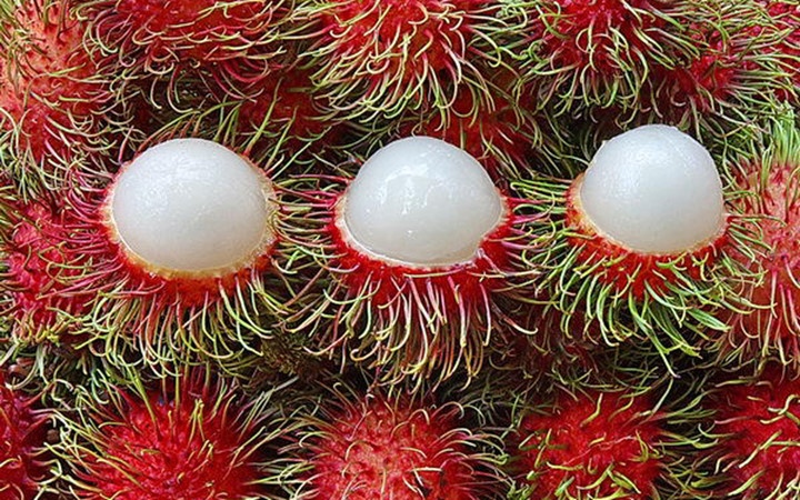 Xuat khau nhan, chom chom sang My sap tro lai binh thuong hinh anh