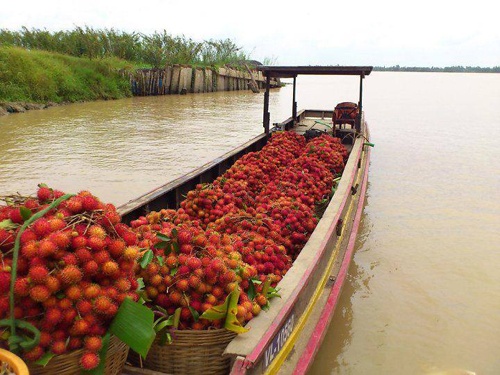 5 loai trai cay Viet Nam duoc di My anh 5