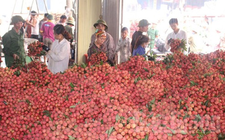 5 loai trai cay Viet Nam duoc di My anh 10