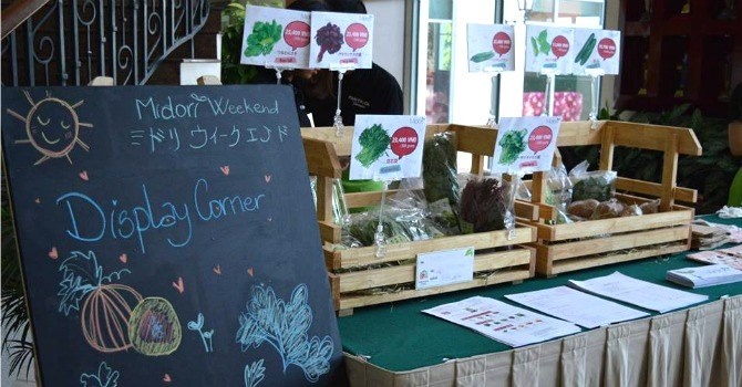 Kinh doanh rau sach cho nguoi nuoc ngoai anh 1