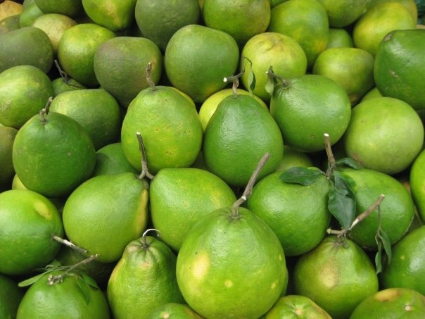 Những trái cây Việt Nam không nhập từ Trung Quốc ảnh 4 Nhung trai cay Viet Nam khong nhap tu Trung Quoc anh 4