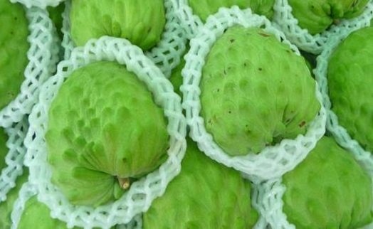 Mang cau Dai Loan khong lo, gan 1 trieu dong mot qua hinh anh