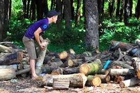 Doanh nghiep Trung Quoc o at mua go cao su hinh anh
