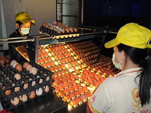 Người phụ nữ đặc biệt Ba Huân ảnh 3 Nguoi phu nu dac biet Ba Huan anh 3