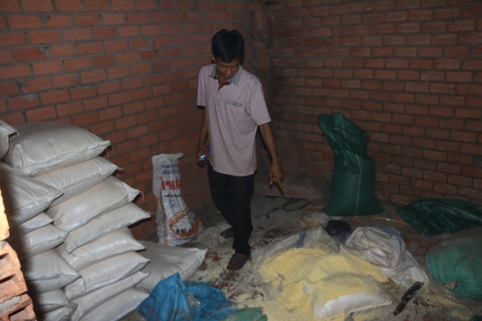 trộn phẩm màu vào tiêu lép biến thành tiêu xịn ảnh 2 tron pham mau vao tieu lep bien thanh tieu xin anh 2