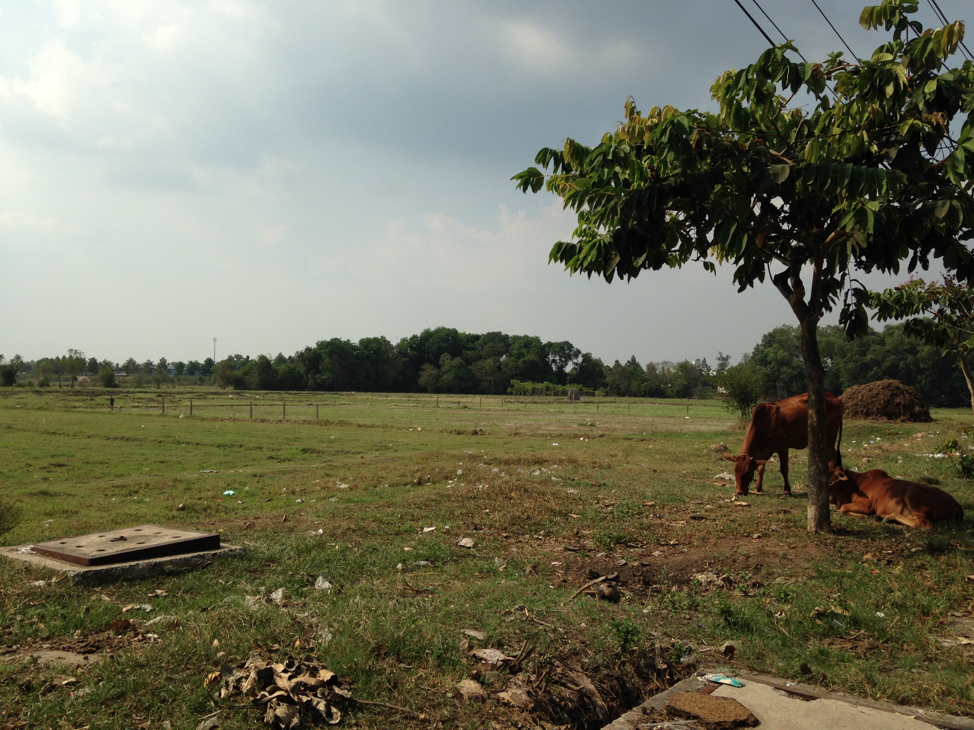 do ve Cu Chi mua dat vuon dau co anh 2