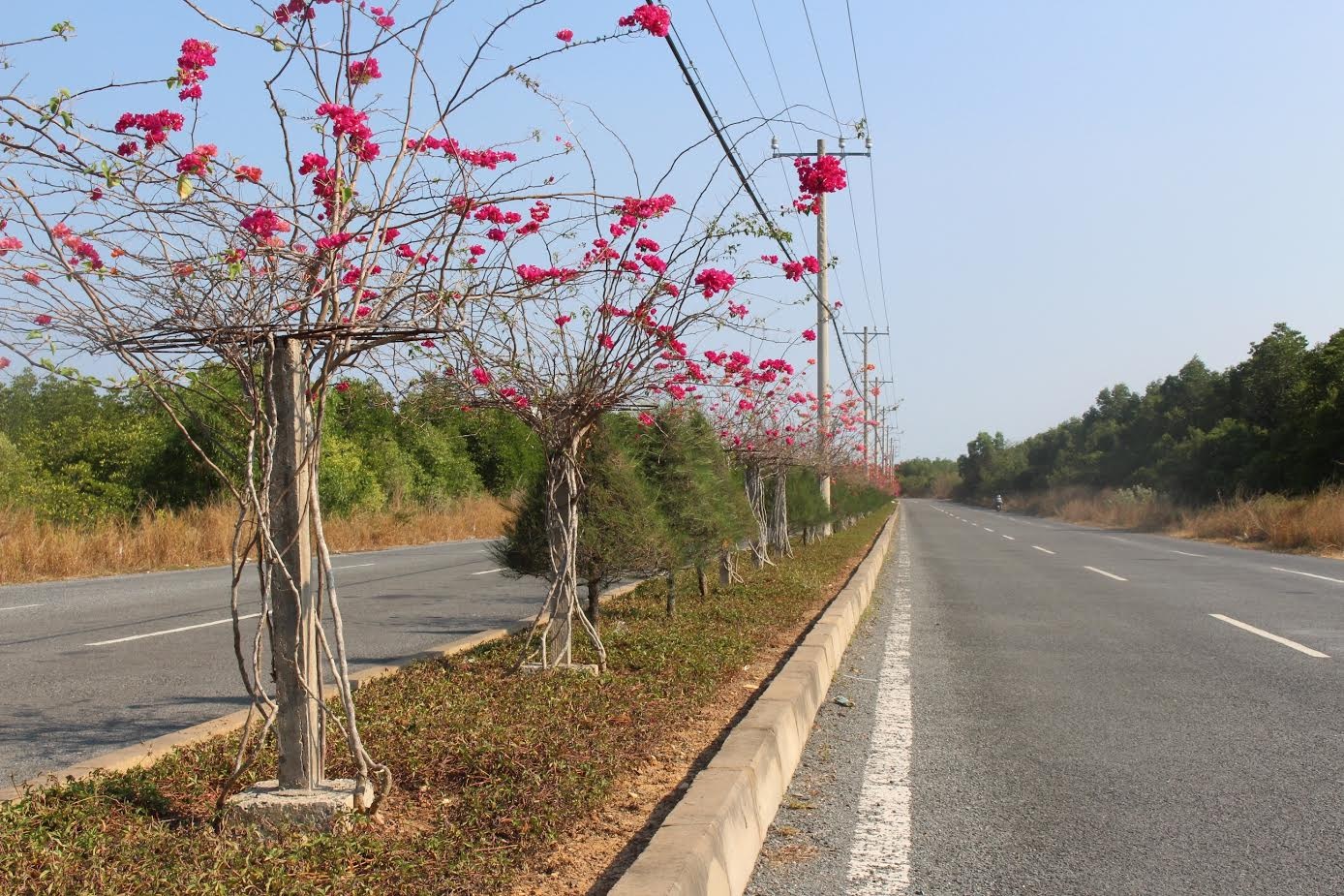 Gia dat Can Gio bong dung tang nong anh 2