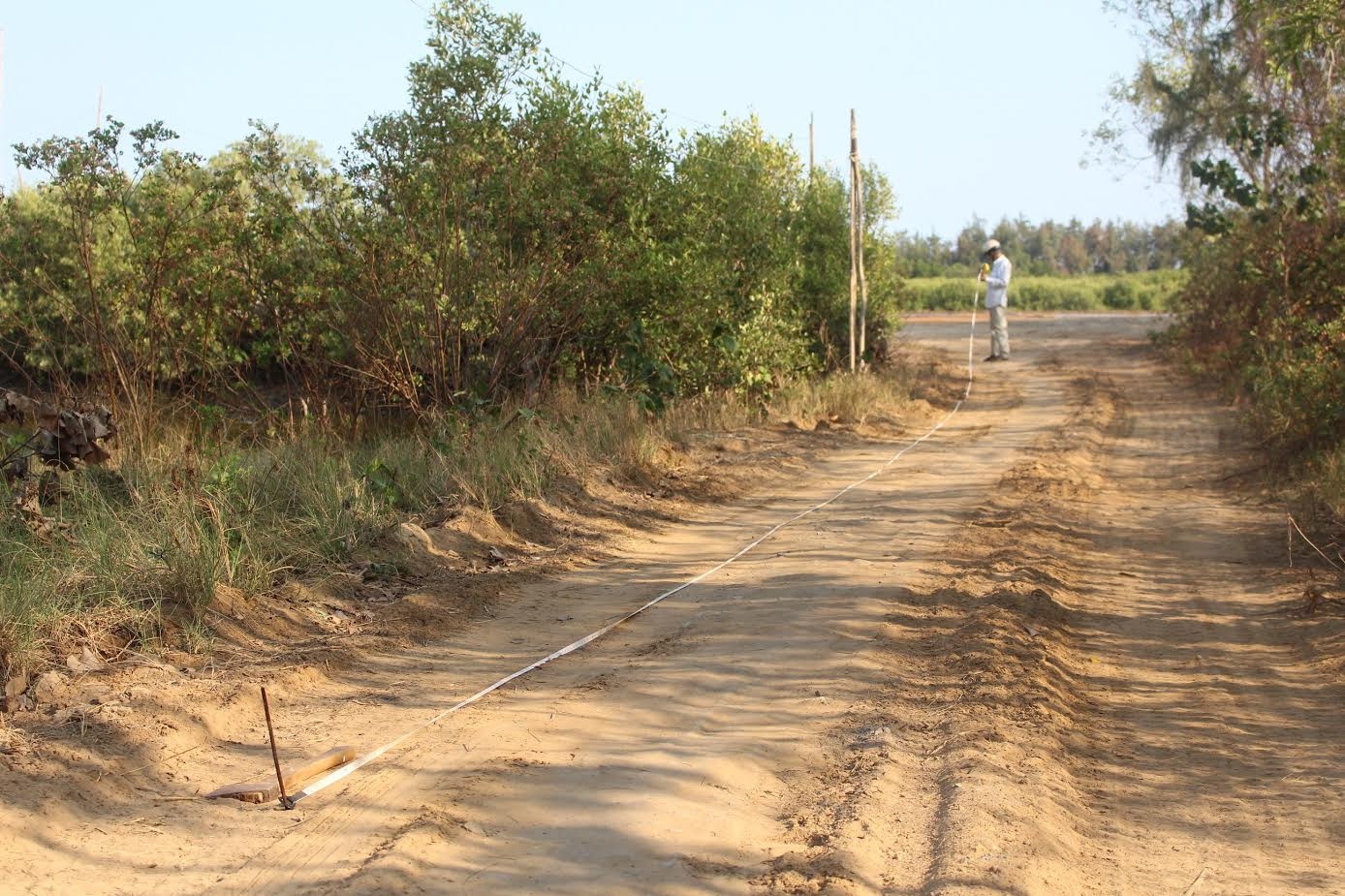 Gia dat Can Gio bong dung tang nong anh 3