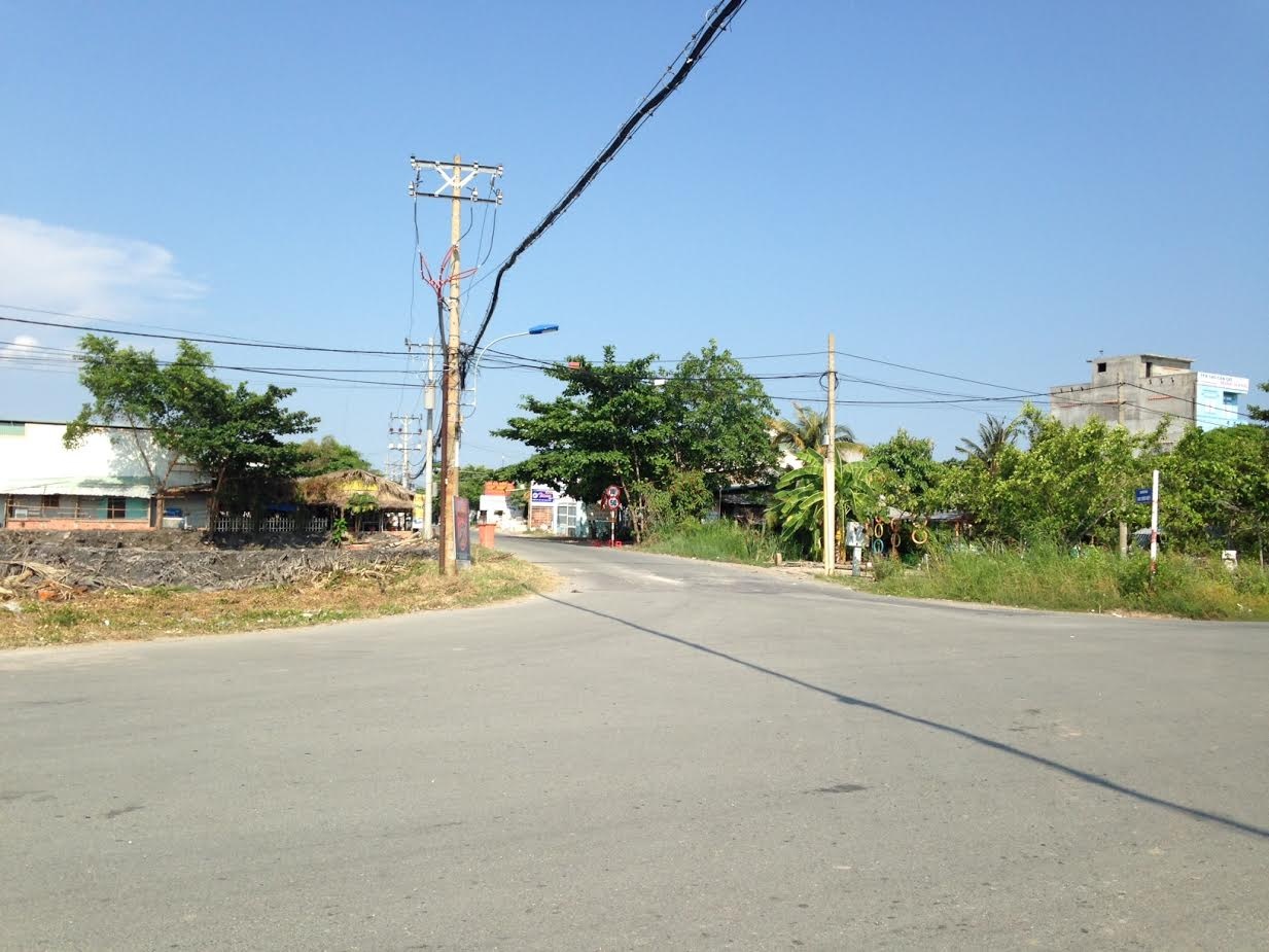 Vi sao co chuyen sot dat o Can Gio? anh 3